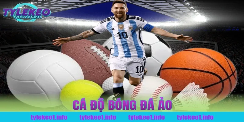 cá độ bóng đá ảo