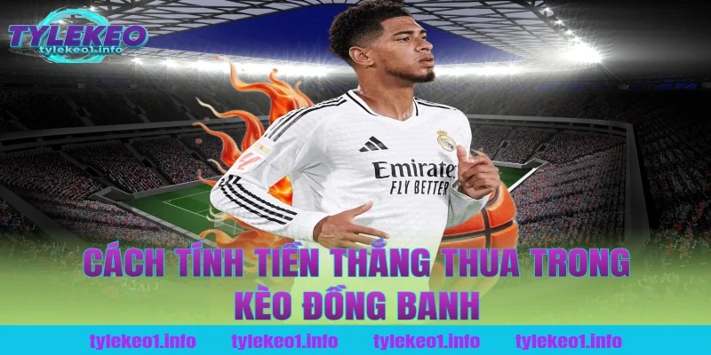 Cách tính tiền thắng thua trong kèo đồng banh tại tỷ lệ kèo