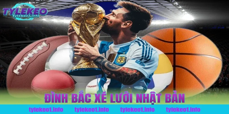 đình bắc xé lưới nhật bản