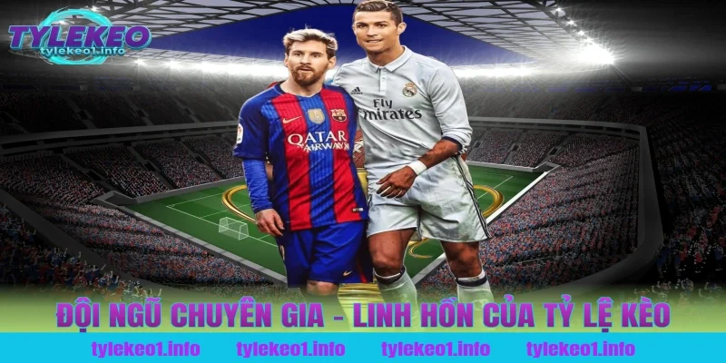 Đội Ngũ Chuyên Gia – Linh Hồn Của Tỷ Lệ Kèo