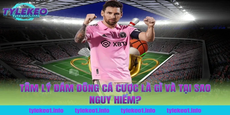 Tâm Lý Đám Đông Cá Cược Là Gì Và Tại Sao Nguy Hiểm Tại Tỷ Lệ Kèo