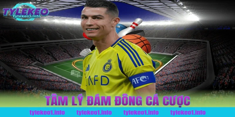 tâm lý đám đông cá cược
