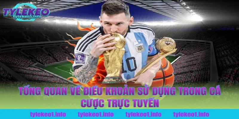 Tổng quan về điều khoản sử dụng trong cá cược trực tuyến