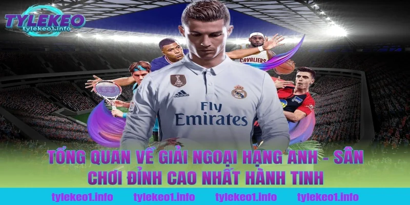 Tổng Quan Về Giải Ngoại Hạng Anh – Sân Chơi Đỉnh Cao Nhất Hành Tinh Tại Tỷ Lệ Kèo