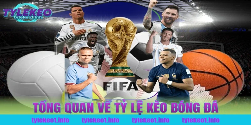 Tổng Quan Về Tỷ Lệ Kèo Bóng Đá