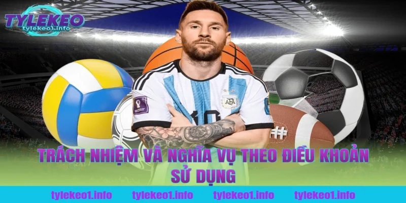 Trách nhiệm và nghĩa vụ theo điều khoản sử dụng