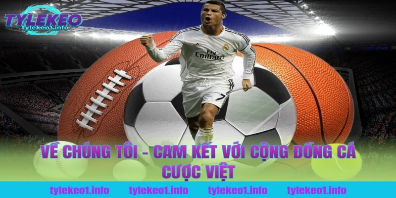 Về Chúng Tôi – Cam Kết Với Cộng Đồng Cá Cược Việt